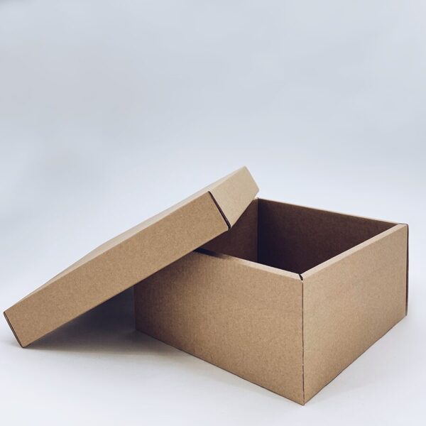 Dāvanu kaste ar vāku 250x250x150 mm /ZSK65/